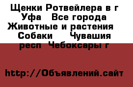 Щенки Ротвейлера в г.Уфа - Все города Животные и растения » Собаки   . Чувашия респ.,Чебоксары г.